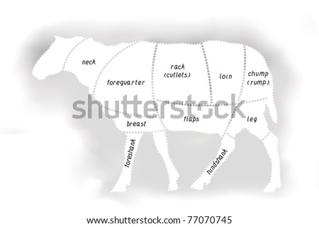 Lamb Meat Diagram Stock Vector Illustration 77070745 : Shutterstock