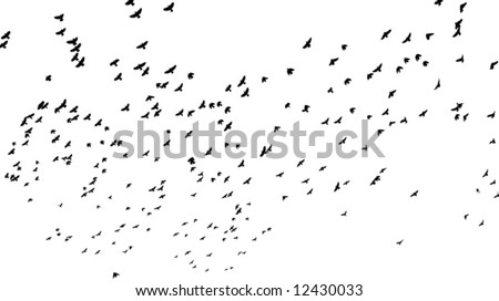 a flock of birds flying off; black and white vector illustration