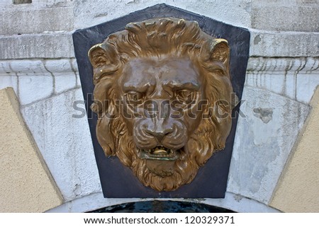 Lions face in the Sochi Arboretum, South Russia