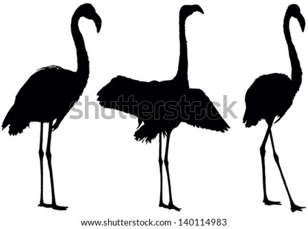 Set Of A Black Vector Silhouettes Of The Posing Flamingo - 140114983 ...