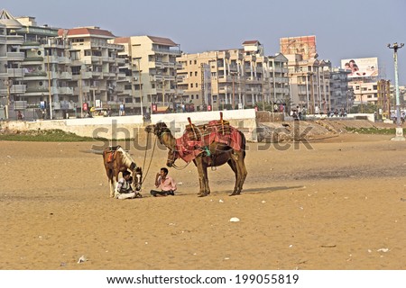 FEBRUARY 11,  2014, VISHAKHAPATNAM, ANDHRA PRADESH, INDIA -  horse and camel at Ramakrishna beach