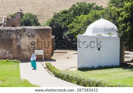 RABAT, MOROCCO - JULY 22: The Chellah as on July 22, 2014 in Rabat, Morocco It is a former city south of Rabat that was destroyed by an earthquake in the 18th-century and became depopulated as result