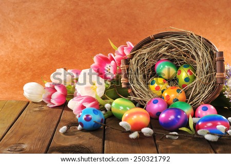 Easter nest with many colored henâ??s eggs and tulip  on old wooden board