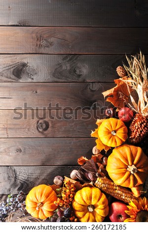 Thanksgiving - different pumpkins with nuts, berries, maize-cob and grain on wooden floor