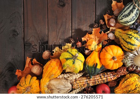 Thanksgiving - different pumpkins with nuts, berries, maize-cob and grain on wooden floor with copyspace