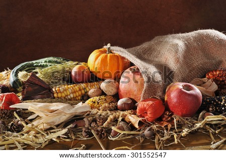 Thanksgiving - different pumpkins, maize-cob, apples and grain in jute bag on straw with copyspace in front of brown background