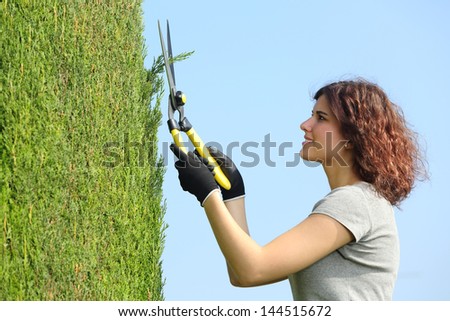 Gardener woman pruning a cypress with pruning shears with the sky in the background