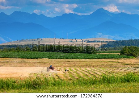 Small scale farming with tractor and plow in field with stork and mountains in background