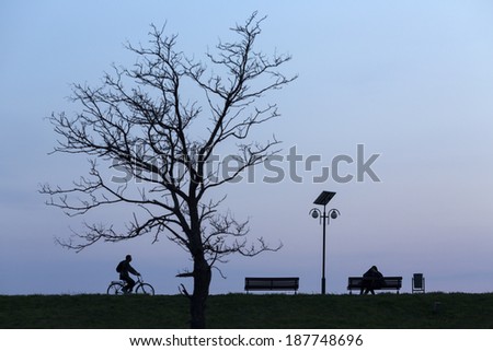 Happy couple in love on bench unde a tree in the night