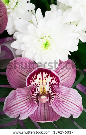 Bouquet of orchids and chrysanthemums isolated on white background