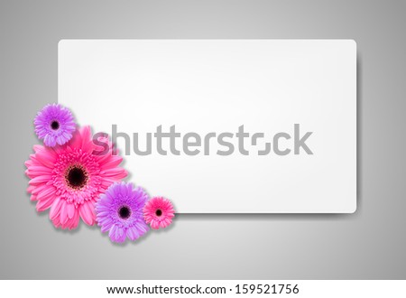 Gerbera flowers with white card template