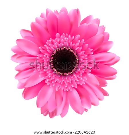 Download Pink Gerbera Wallpaper 1920x1080 | Wallpoper #448842