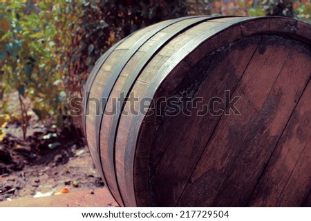Vineyard and old oak barrel