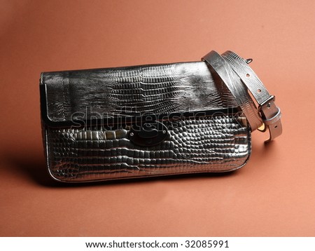 fashionable accessories: silver clutch and women belt