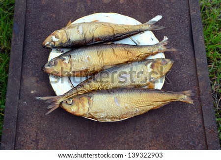Don Herring golden color on a plate - hot smoked fish, cooked in a smokehouse in the field