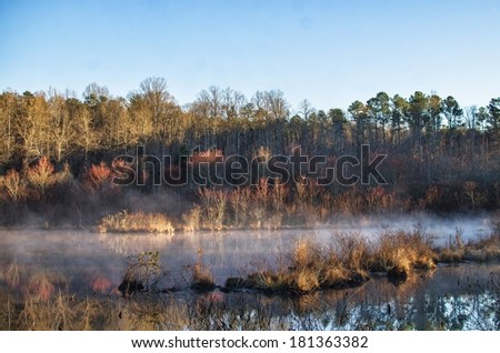 Foggy Lake in the Morning