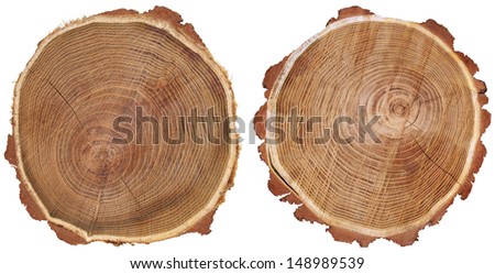 Similar – Image, Stock Photo Old segments Wood Pattern