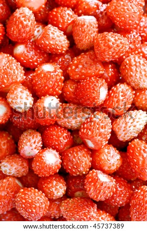 red strawberry texture close up
