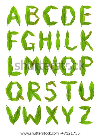 Leaf Alphabet. Stock Photo 49121755 : Shutterstock