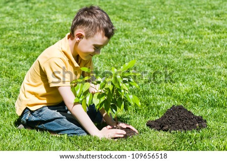 boy with tree on lawn
