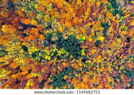 Image, Stock Photo Aerial View Of Deciduous Trees Without Foliage Leaves In Landscape At Early Spring. Top Flat View From High Attitude. Natural Backdrop Background Of European Woods And Their Shadows. Drone View