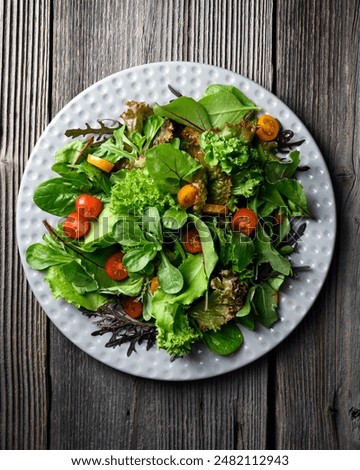 Image, Stock Photo Herbs and salad in a raised bed. More vegetable beds in the background Gardening