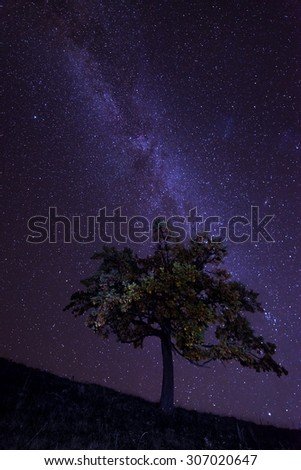 The Milky Way over the alone tree silhouette. Carpathian, Ukraine, Europe.