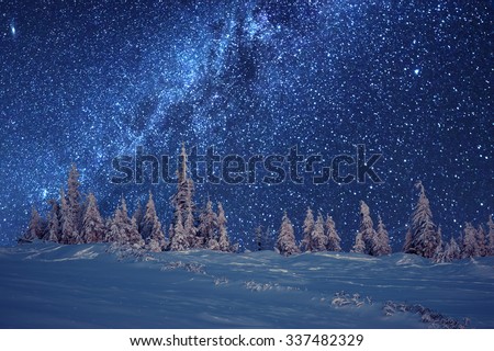 Similar – Image, Stock Photo winter dream Winter Forest