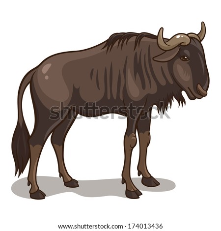Vector illustration of an african wildebeest isolated on a white background