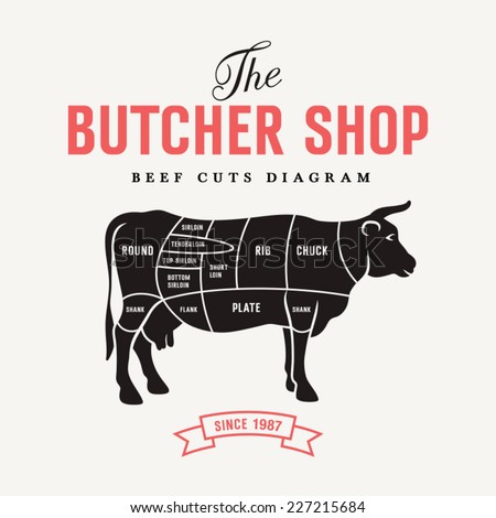 Beef Cuts Diagram, Vector Illustration For Your Design - 227215684 ...