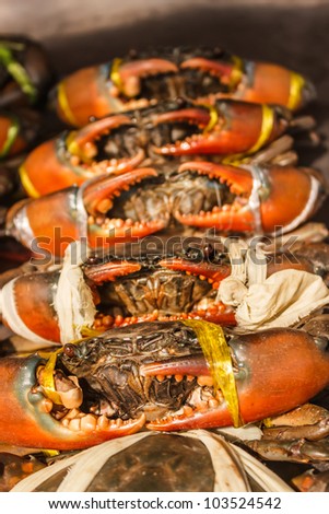 Sea crabs at seafood market, bangkok thailand