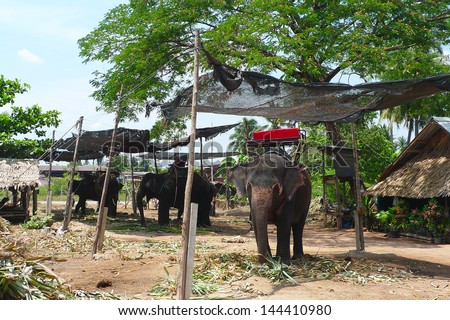 Elephant village near Bangkok, Thailand. The Thai Elephant is the Symbol of Nation. A white elephant is even included in the flag of the Royal Thai navy