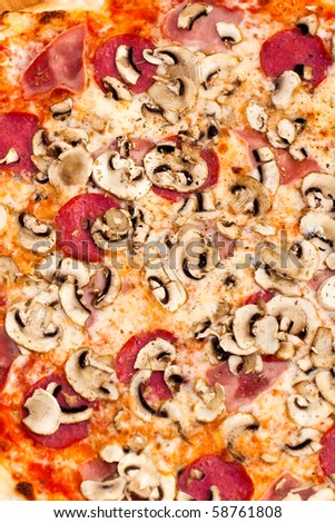Big Party Pizza salami,mushrooms and vegetable-isolated on white ,Shallow depth-of-field
