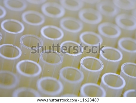 Rack of Laboratory Tubes