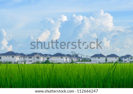 Housing estate in Field and the blue sky