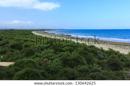 Green land and blue sky near ocean