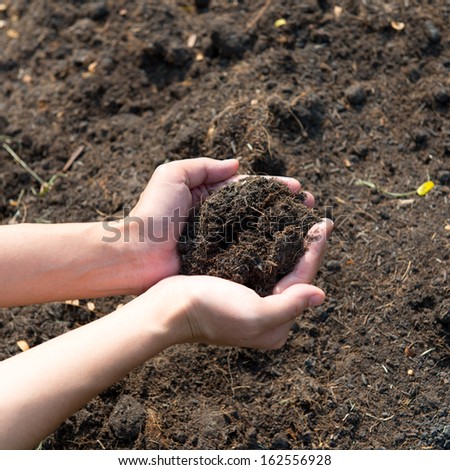 Hand holding soil,Hand dirty with soil on white