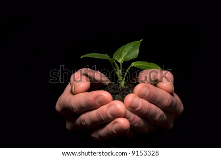 plant between hands on black