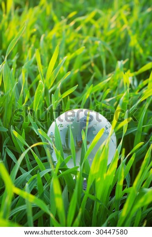 globe in the grass