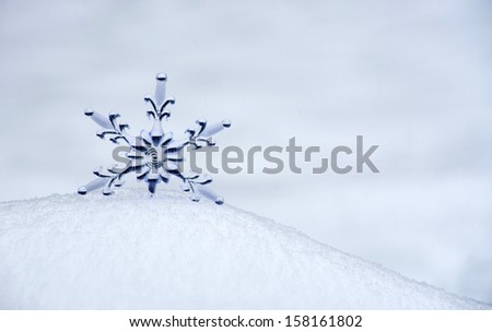 Snowflake in a white snow