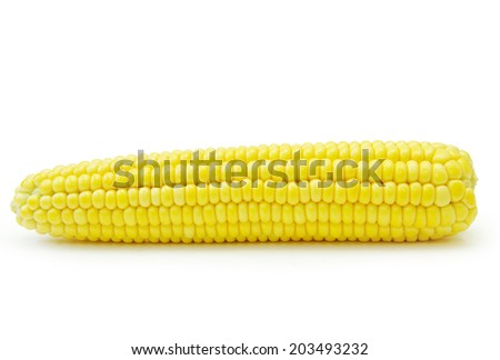 Sweet maize isolated on white background