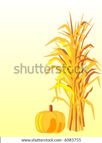 Vector corn stalk with pumpkin.