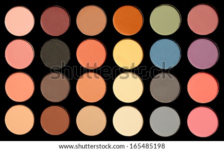 Makeup palette with multiple colors. Professional makeup palette.