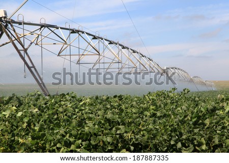 Irrigation system on a industrial farm. Irrigating soy beans.