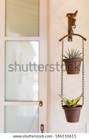 two nice and tiny succulent potted plants hanged on a wall