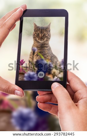 a woman using a smart phone to take a photo of a cute cat outside of a dirty window
