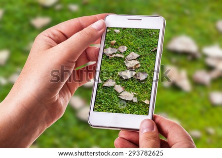 a woman using a smart phone to take a photo of a lawn in autumn with dead leaves