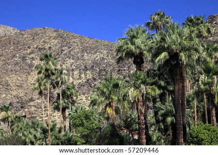 Palm Springs desert landscape with rugged mountains and palm trees.