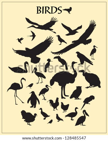 Bird silhouettes