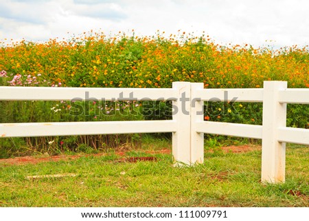 Cowboy fence on nice green meadow and flower